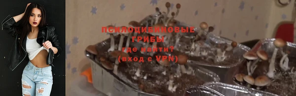 2c-b Арсеньев