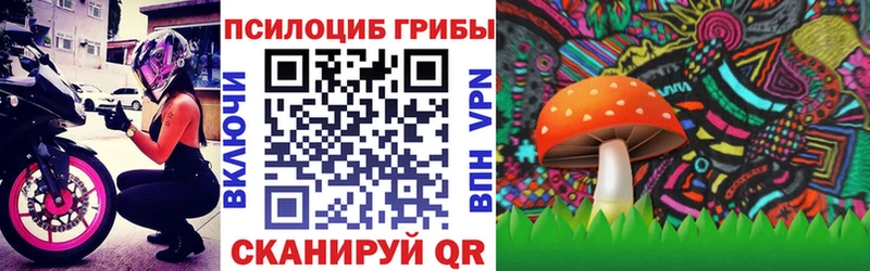 Псилоцибиновые грибы MAGIC MUSHROOMS  Цивильск 